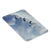 Antarctica. Adelie Pinguine Magnet (Rechte Seite)