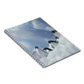 Antarctica. Adelie Pinguine Notizblock (Rechte Seite)