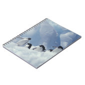 Antarctica. Adelie Pinguine Notizblock (Linke Seite)