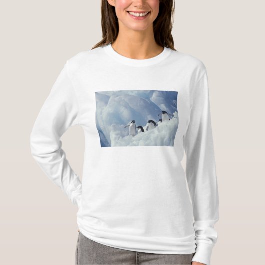 Antarctica. Adelie Pinguine T-Shirt (Vorderseite)