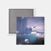 Antarctica. Antarctic icescapes 2 Magnet (Vorderseite/Rückseite)