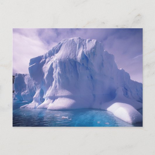 Antarctica. Antarktis Postkarte (Vorderseite)