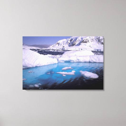 Antarctica. Expedition durch die Eisenkassen 2 Leinwanddruck (Vorderseite)
