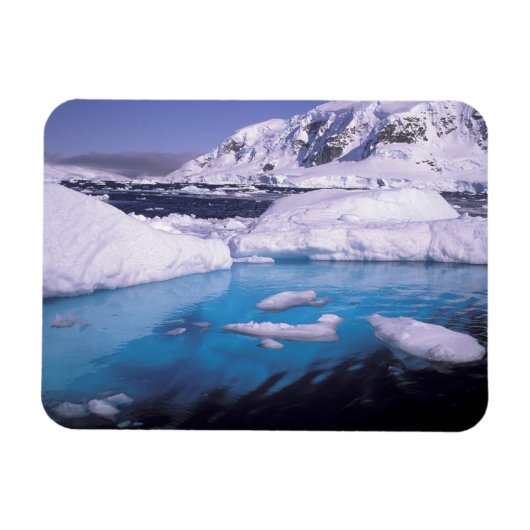 Antarctica. Expedition durch die Eisenkassen 2 Magnet (Horizontal)