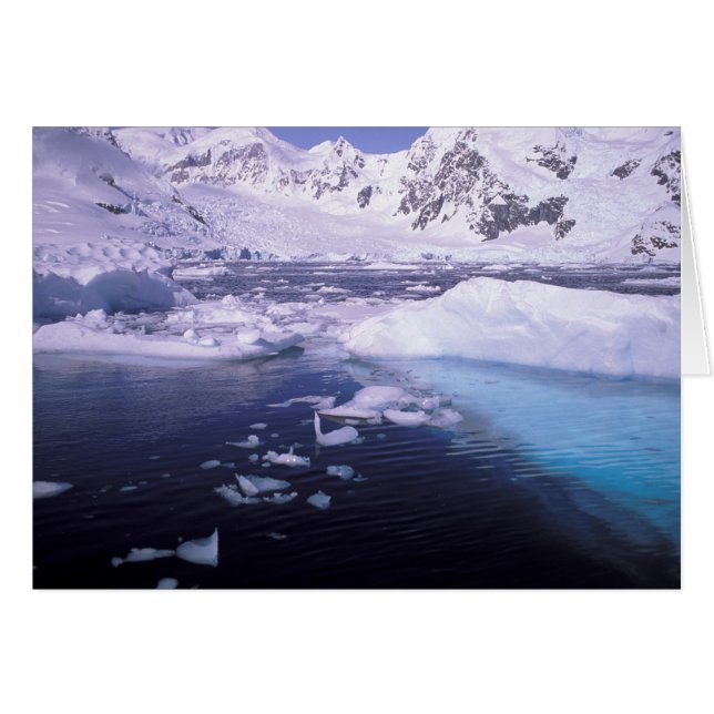 Antarctica. Expedition durch die Eiskappen (Vorderseite (Horizontal))
