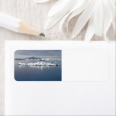 Antarctica landscape (Insitu)