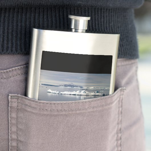 Antarctica landscape flachmann (Beispiel)