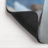 Antarctica. Neko Hafen. Gentoo Penguin Mousepad (Ecke)