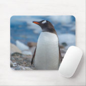 Antarctica. Neko Hafen. Gentoo Penguin Mousepad (Mit Mouse)