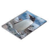 Antarctica. Neko Hafen. Gentoo Penguin Notizblock (Linke Seite)