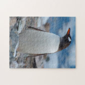 Antarctica. Neko Hafen. Gentoo Penguin Puzzle (Horizontal)