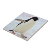 Antarctica. Petermann Island. Adelie Pinguin Fliese (Seite)