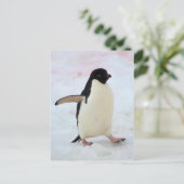 Antarctica. Petermann Island. Adelie Pinguin Postkarte (Stehend Vorderseite)
