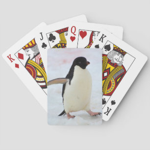 Antarctica. Petermann Island. Adelie Pinguin Spielkarten