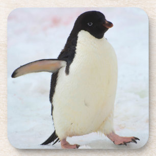 Antarctica. Petermann Island. Adelie Pinguin Untersetzer