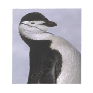Antarctica. Pinguin Notizblock