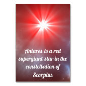 Antares Tischnummer (Rückseite)