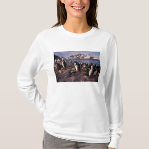 Antarktika, Adeliepinguin-Küken T-Shirt