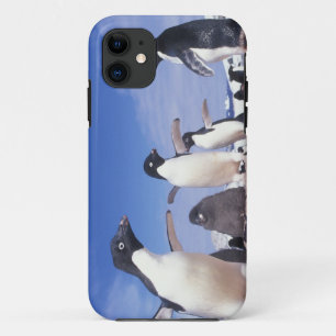 Antarktika, Adeliepinguin Pygoscelis Case-Mate iPhone Hülle