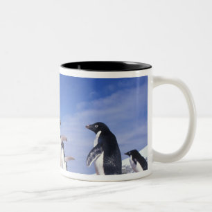 Antarktika, Adeliepinguin Pygoscelis Zweifarbige Tasse