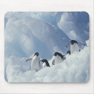 Antarktika. Adeliepinguine Mousepad