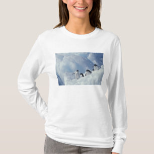 Antarktika. Adeliepinguine T-Shirt