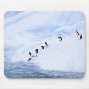 Antarktika, Antarktische Halbinsel. Chinstrap Mousepad