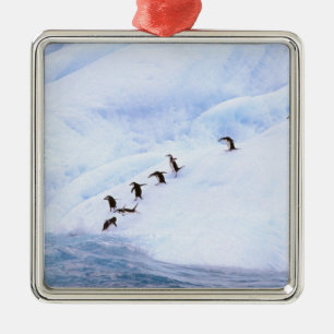 Antarktika, Antarktische Halbinsel. Chinstrap Silbernes Ornament