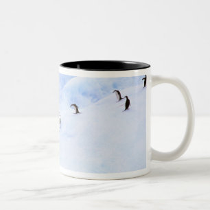 Antarktika, Antarktische Halbinsel. Kehlstreif Zweifarbige Tasse