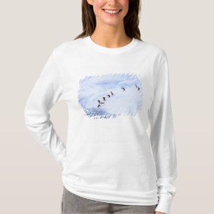 Antarktika, Antarktische Halbinsel. Kinnriemen T-Shirt