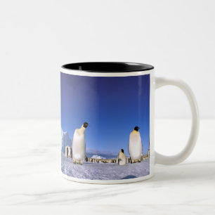 Antarktika, Antarktische Halbinsel, Weddell-Meer,  Zweifarbige Tasse