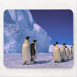 Antarktika, Australisches Antarktisterritorium, 7 Mousepad