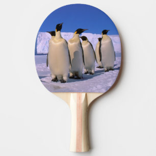 Antarktika, Australisches Antarktisterritorium, 7 Tischtennis Schläger