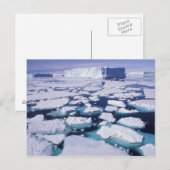 Antarktika, Eisfluss. Postkarte (Vorne/Hinten)