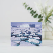Antarktika, Eisfluss. Postkarte (Stehend Vorderseite)