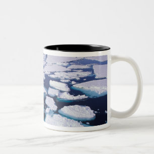 Antarktika, Eisströmung. Zweifarbige Tasse