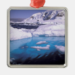 Antarktika. Expedition durch Eislandschaften 2 Silbernes Ornament