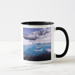 Antarktika. Expedition durch Eislandschaften 2 Tasse