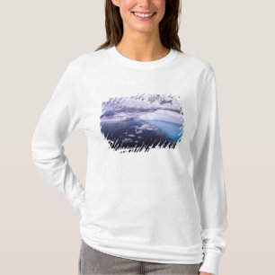 Antarktika. Expedition durch Eislandschaften T-Shirt