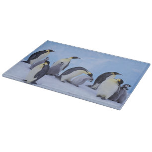 Antarktika, Kaiser-Pinguine Schneidebrett
