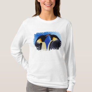 Antarktika, Kaiser-Pinguine T-Shirt