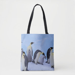 Antarktika, Kaiser-Pinguine Tasche