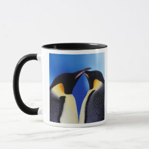 Antarktika, Kaiser-Pinguine Tasse