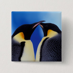 Antarktika, Kaiserpinguine Button