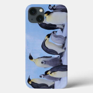 Antarktika, Kaiserpinguine iPhone 13 Hülle