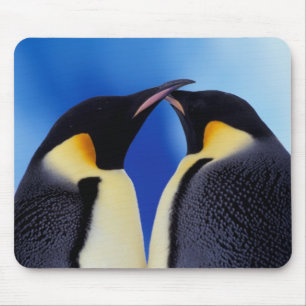 Antarktika, Kaiserpinguine Mousepad