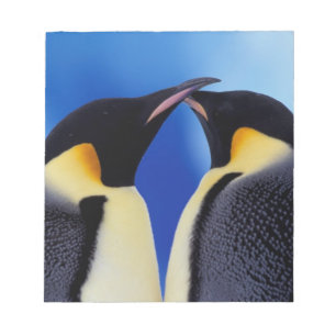 Antarktika, Kaiserpinguine Notizblock