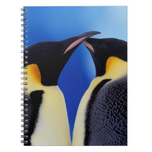 Antarktika, Kaiserpinguine Notizblock