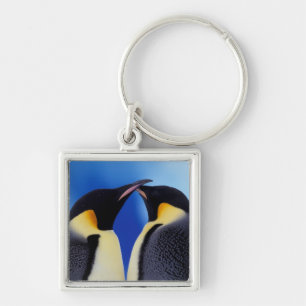 Antarktika, Kaiserpinguine Schlüsselanhänger