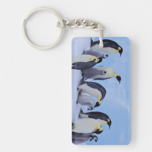 Antarktika, Kaiserpinguine Schlüsselanhänger